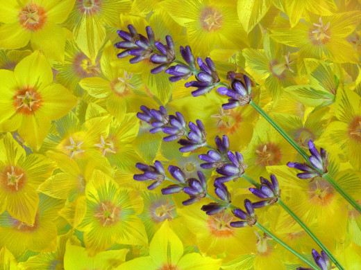 430733 (a): :1600x1200